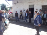 colfelice_02